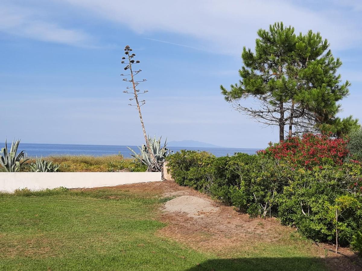 U Stagnu Locations Chambres Corse Борго Экстерьер фото