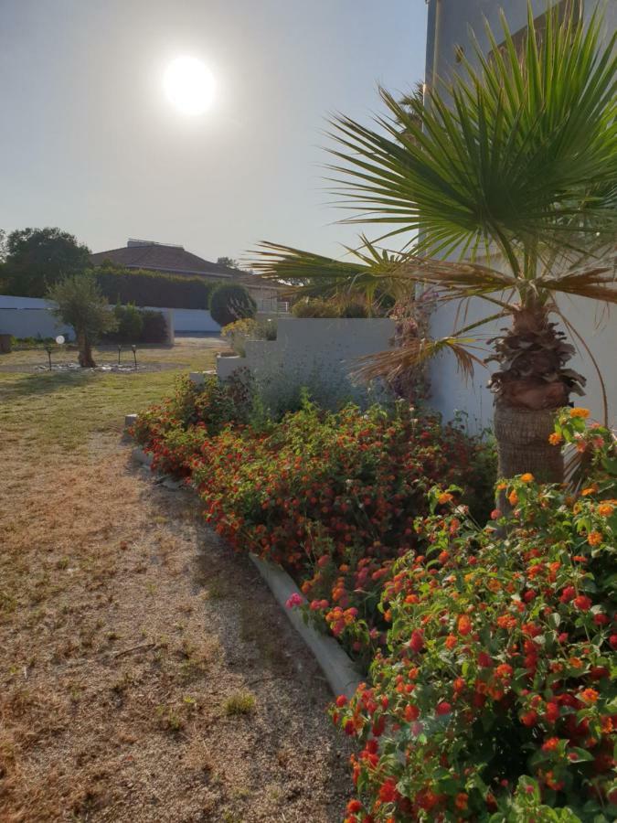 U Stagnu Locations Chambres Corse Борго Экстерьер фото